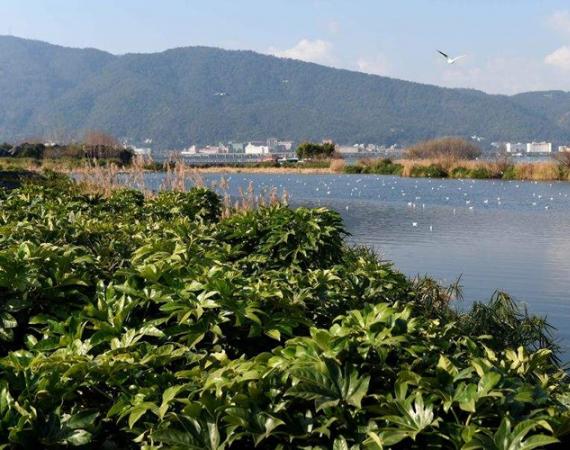 滇池流域環境監控
